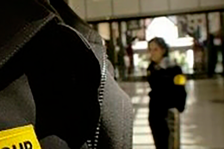 seguridad privada