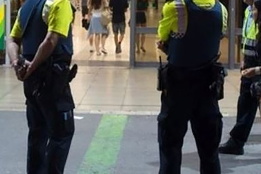seguridad31072019